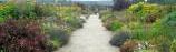 Powerscourt Gardens