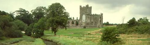 Tintern Abbey