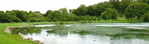 Lough Gur